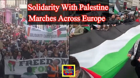 Thousands continue to gather in European cities in solidarity with Palestine