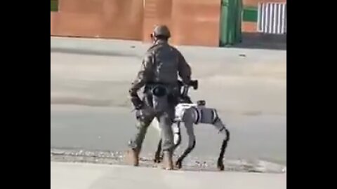 Chinese soldier walks his robot dog