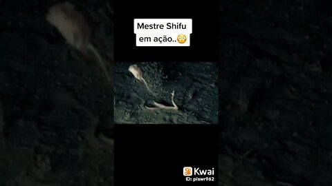 Caramba, esse é brabo! #shorts #viral #mundo #natureza