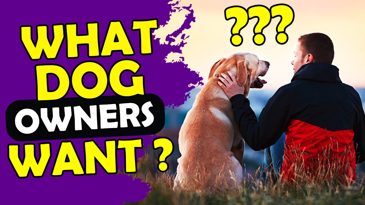 9 THINGS ALL DOG OWNERS WANT