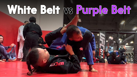 Jiu Jitsu White Belt vs Purple Belt Ray | Circadian MMA (11-07-2022)