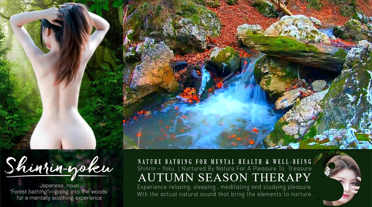 Shinrin-Yoku Bio Music Therapy | Nature Asmr 044 ▶️