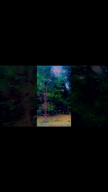 #shorts #rainsounds #raindrops #nature #relaxingsoundsforstressrelief #relaxing #naturalwhitenoise