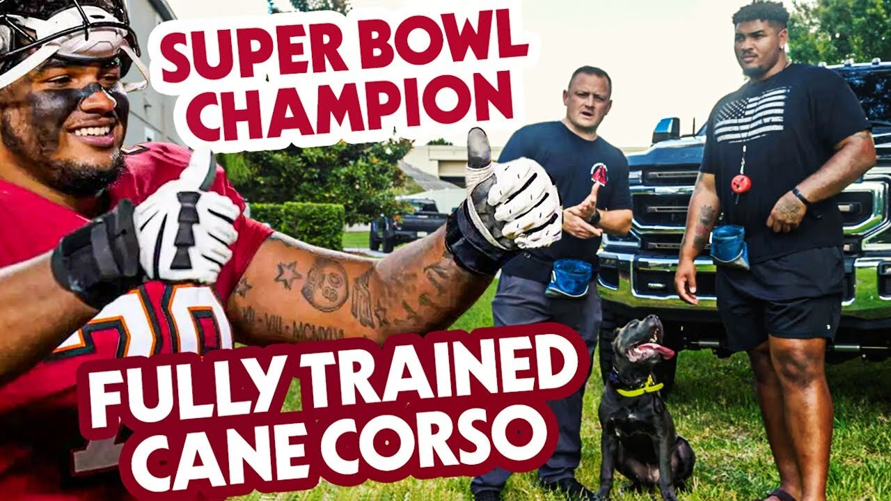 CANE CORSO PUPPY OFF-LEASH TRAINING - Feat. NFL PRO TRISTAN WIRFS