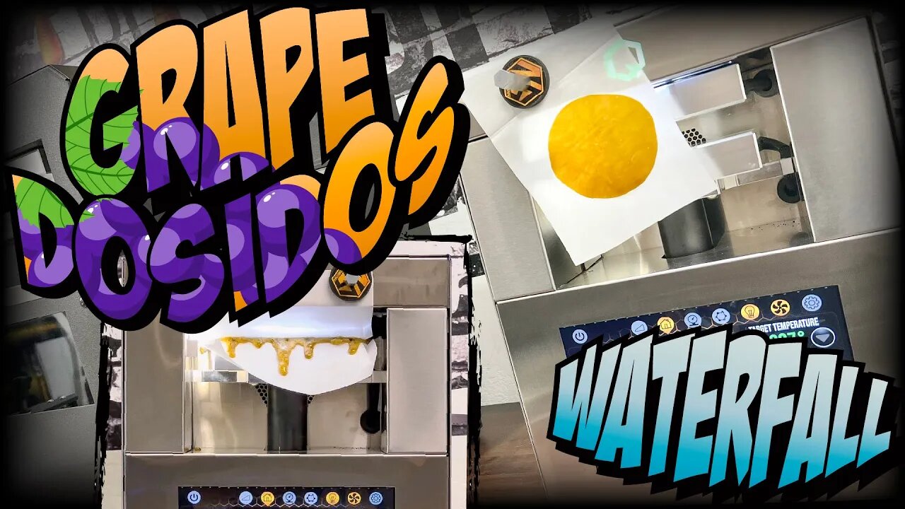 OUNCE OF GRAPE DOSI DOS - 24% YIELD