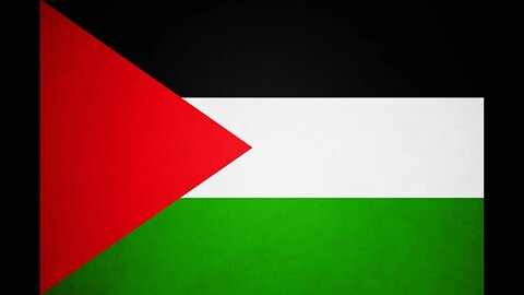 Fly the Flag for Palestine