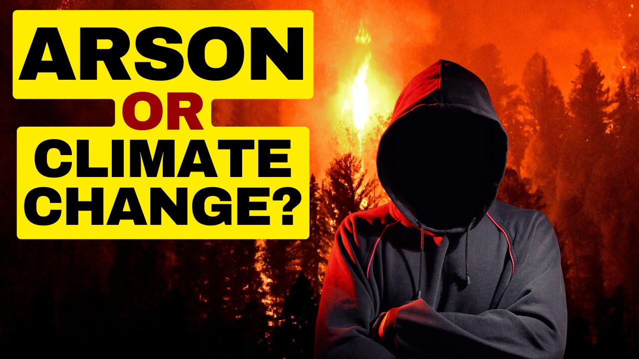 Is Arson Or Climate Change Causing Canada's Forest Fires