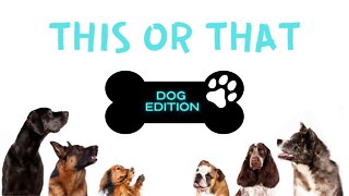 THIS OR THAT? - Dog Edition