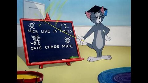 Tom & jerry Cartoon