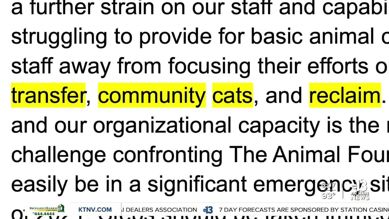 Former Animal Foundation COO says prior warnings of crisis at shelter fell on deaf ears