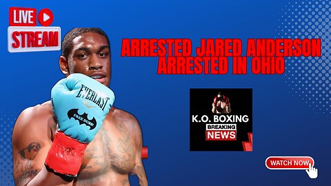 Jared Anderson Arrested In Ohio, Charged With Improperly Handling Firearm In Vehicle