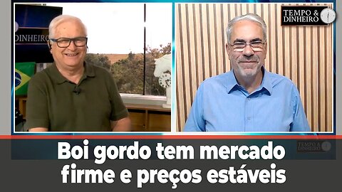 Boi gordo tem mercado firme e preços estáveis a espera do consumo de final de ano