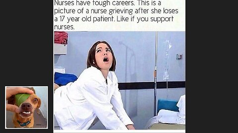 Memes That Will 99.826% Make You Laugh. (e51)