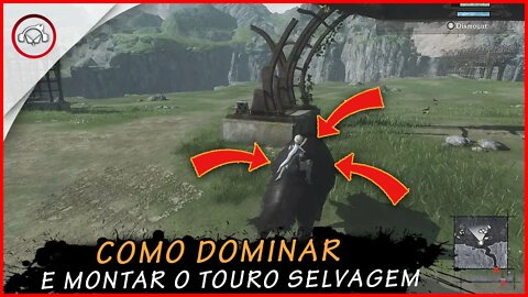 Nier Replicant, Como dominar e montar o touro selvagem | Super Dica