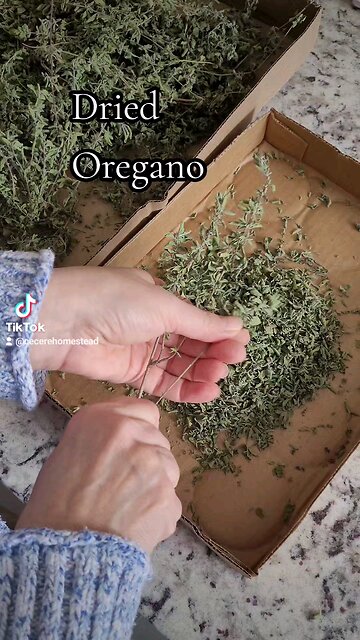 Dry Oregano