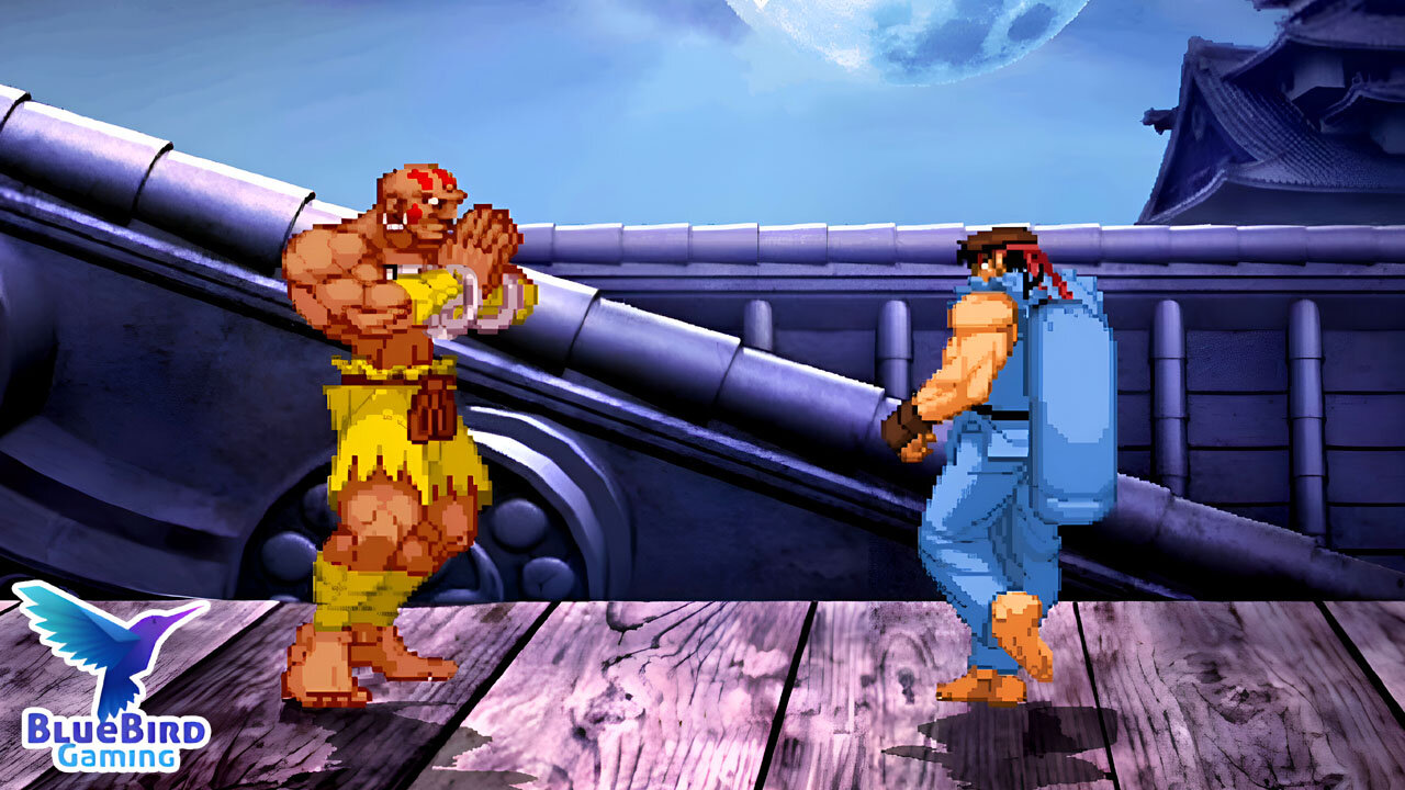 DHALSIM VS RYU EPIC FIGHTER!