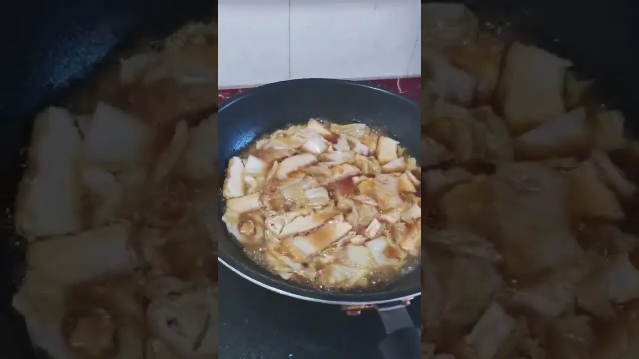 白菜炖豆腐 Braised tofu with cabbage