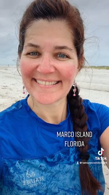 I love shelling 🐚