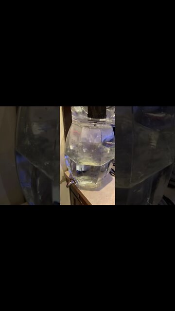 $50 berkey water filter system and priming how to prime filters