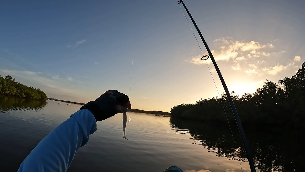 Burping the Babies - Inshore Fishing