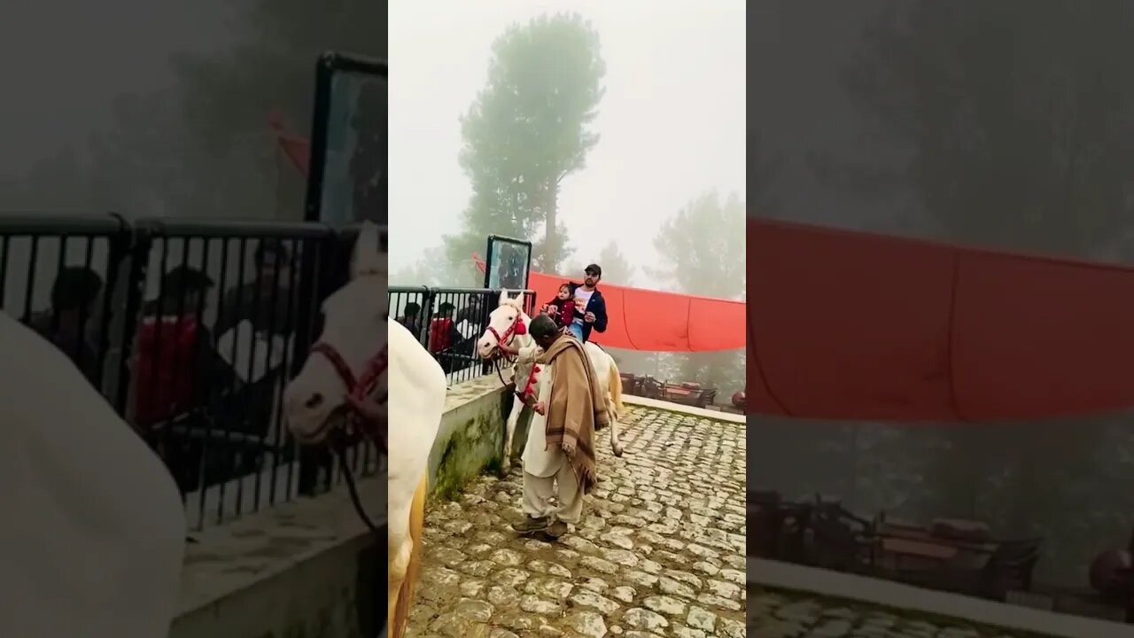 #goneviral #shortvideo #viral