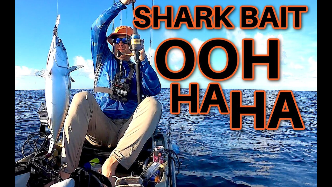 Catching Shark Bait || Offshore Kayak Fishing || Destin Florida Vacation