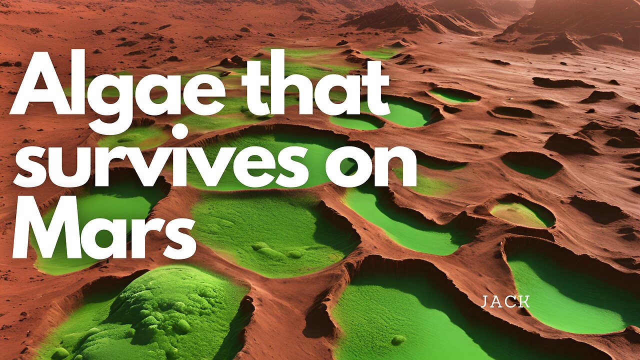 Is Life Possible on Mars? Scientists Answer with Desert Moss!