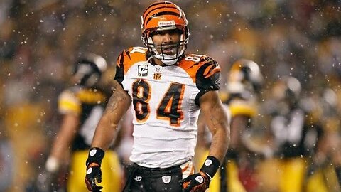 T.J. Houshmandzadeh Bengals Highlights | NFL