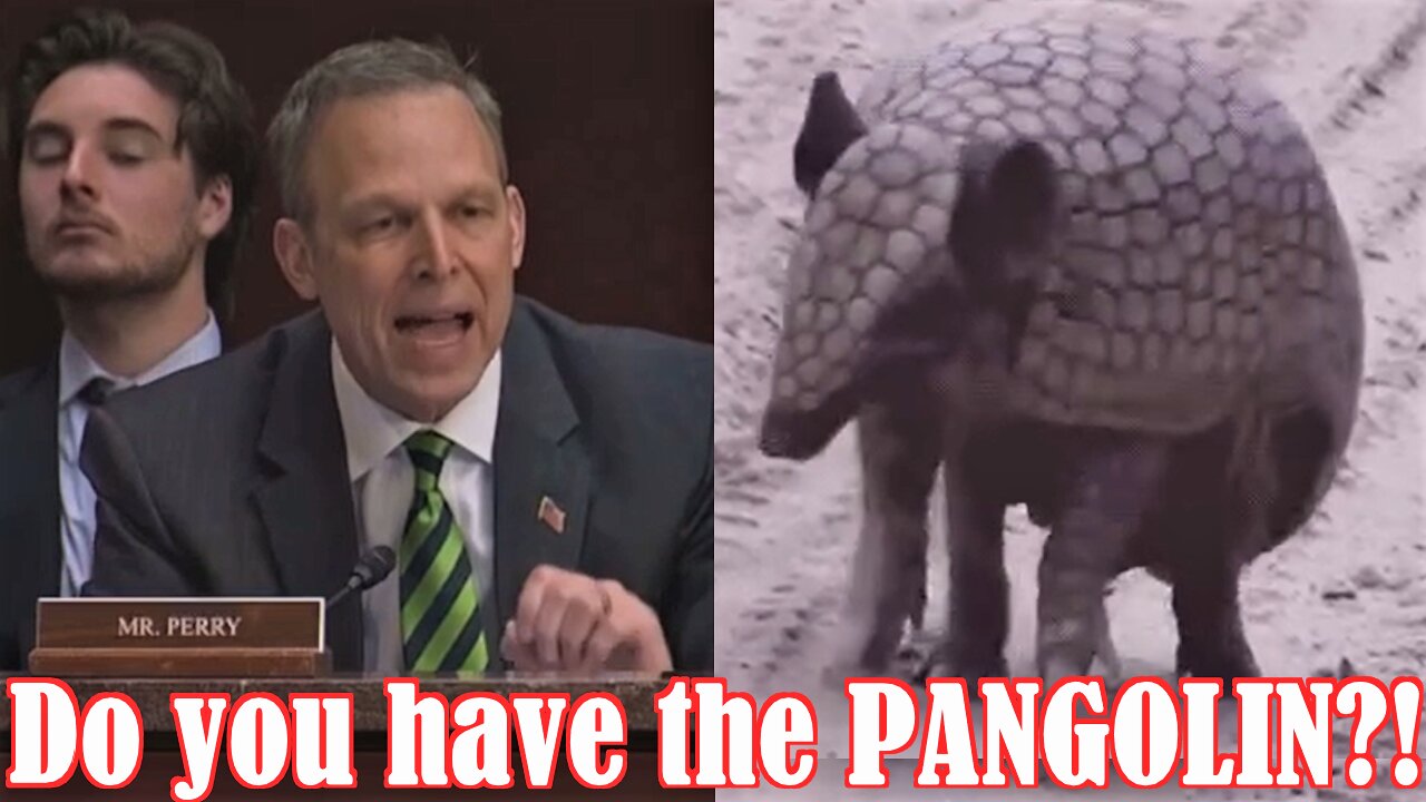 Do you have the PANGOLIN?!