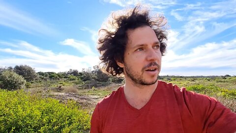 Not A Survival Expert (Video Journal)
