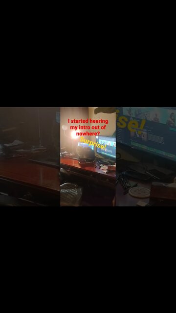 Mochi the Cat wants to learn Magic The Gathering!