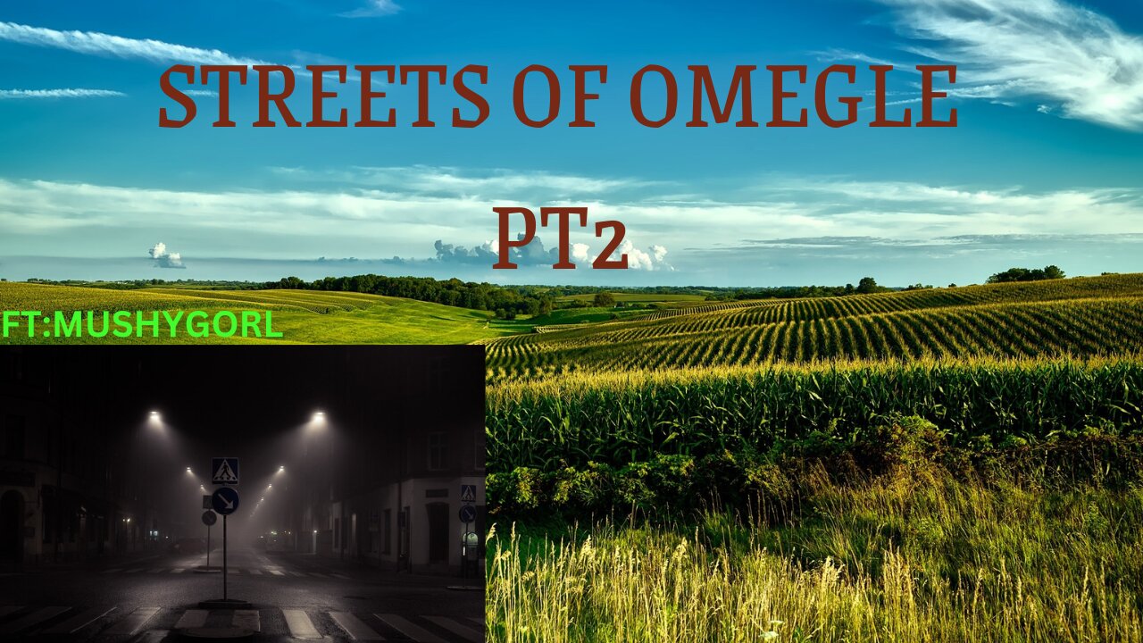 STREETS OF OMEGLE 2 FT:MUSHYGORL