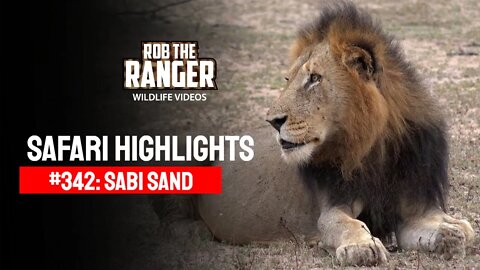 Safari Highlights #342: 06 - 13 May 2015 | Sabi Sand Nature Reserve | Latest Wildlife Sightings