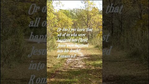 Daily Bible Verse short for today