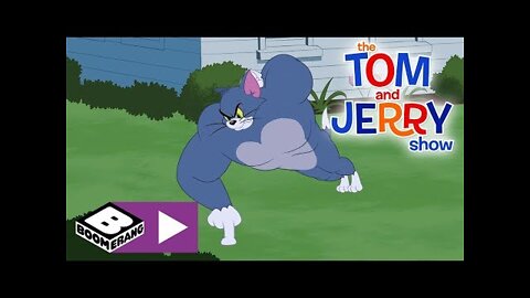 The Tom and Jerry Show | Tom The Gym Cat