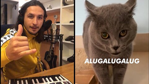 The Kiffness X Alugalug Cat
