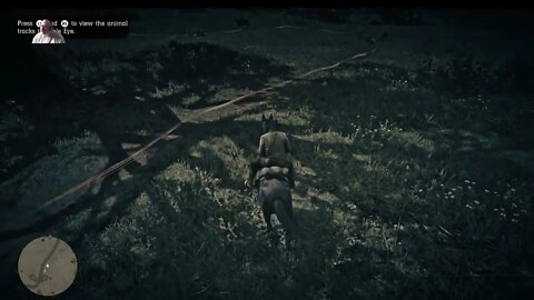 RDR2 EP 28 Magicians For Sport