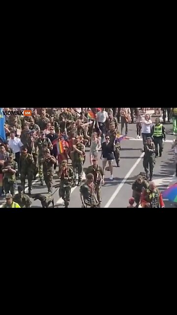 This Is The Military That Is Supposed To Tackle Migrant Gangs In Sweden