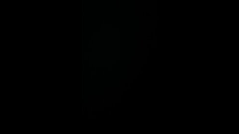 You’re fired! Says Donald Trump