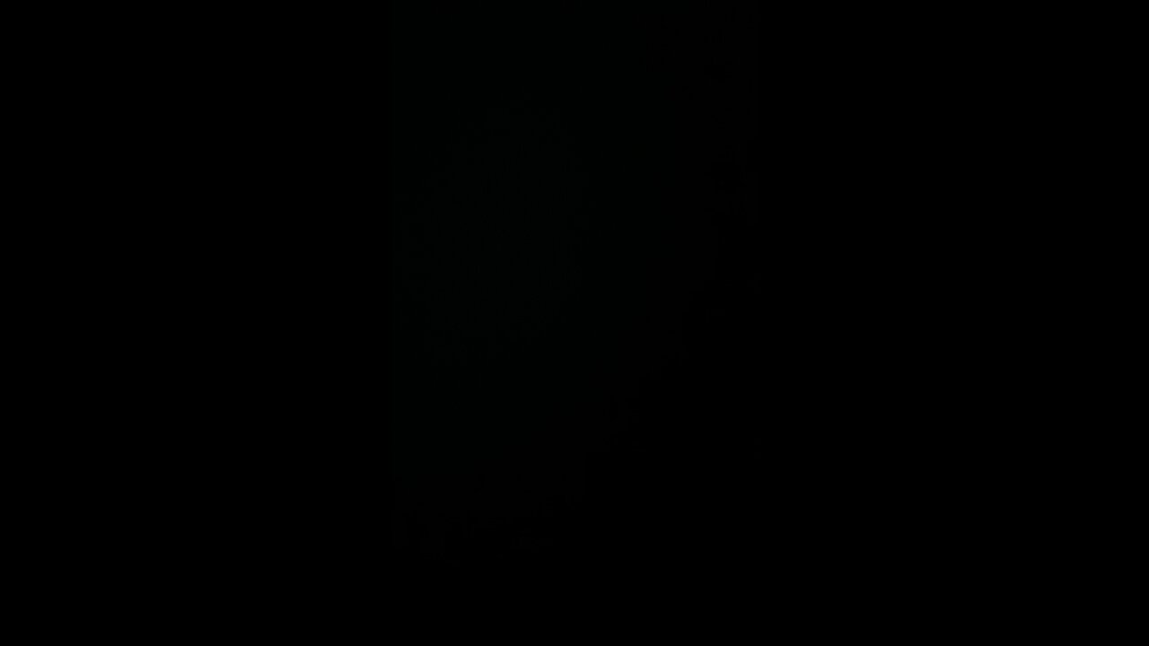 You’re fired! Says Donald Trump