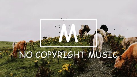 Teddie - Good（Mm No Copyright Music）