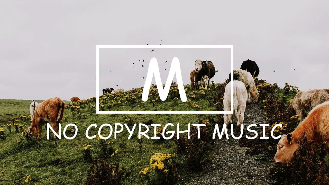 Teddie - Good(Mm No Copyright Music)