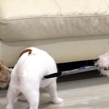 Tug of war