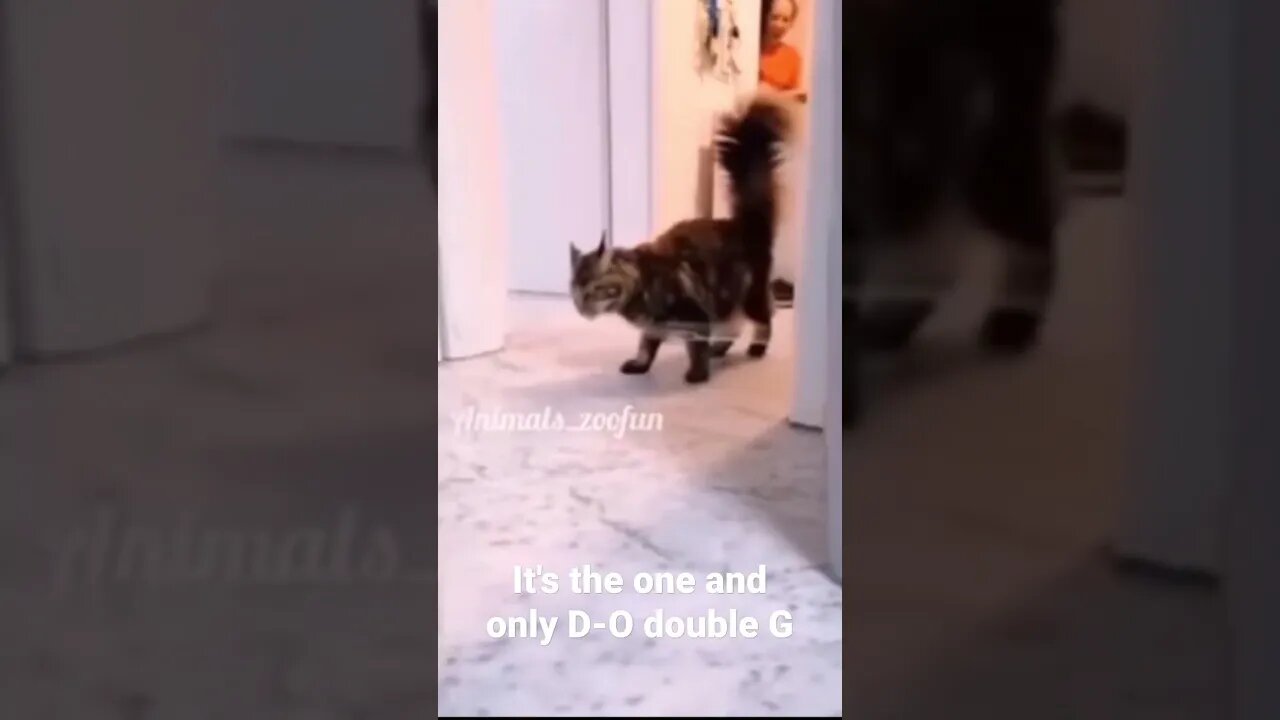 MEME is the one and only D-O double G #shorts