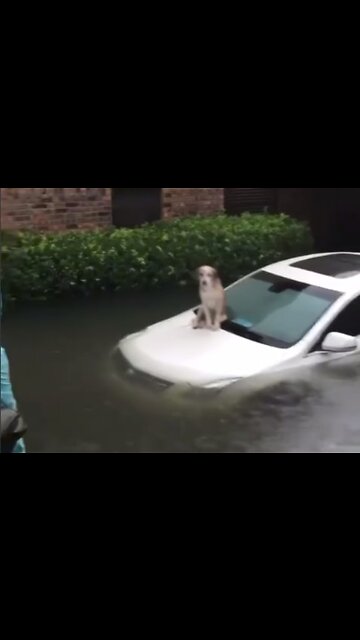 Rising to the occasion❤️