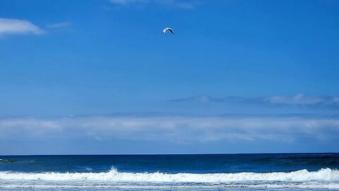 Life a Beach! Live, Where is this?