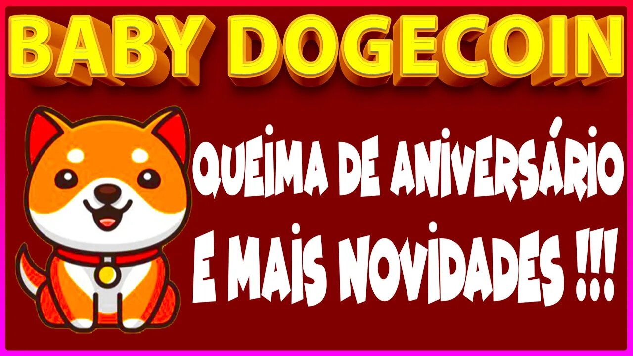 BABY DOGECOIN QUEIMA DE ANIVERSÁRIO E MAIS NOVIDADES !!!