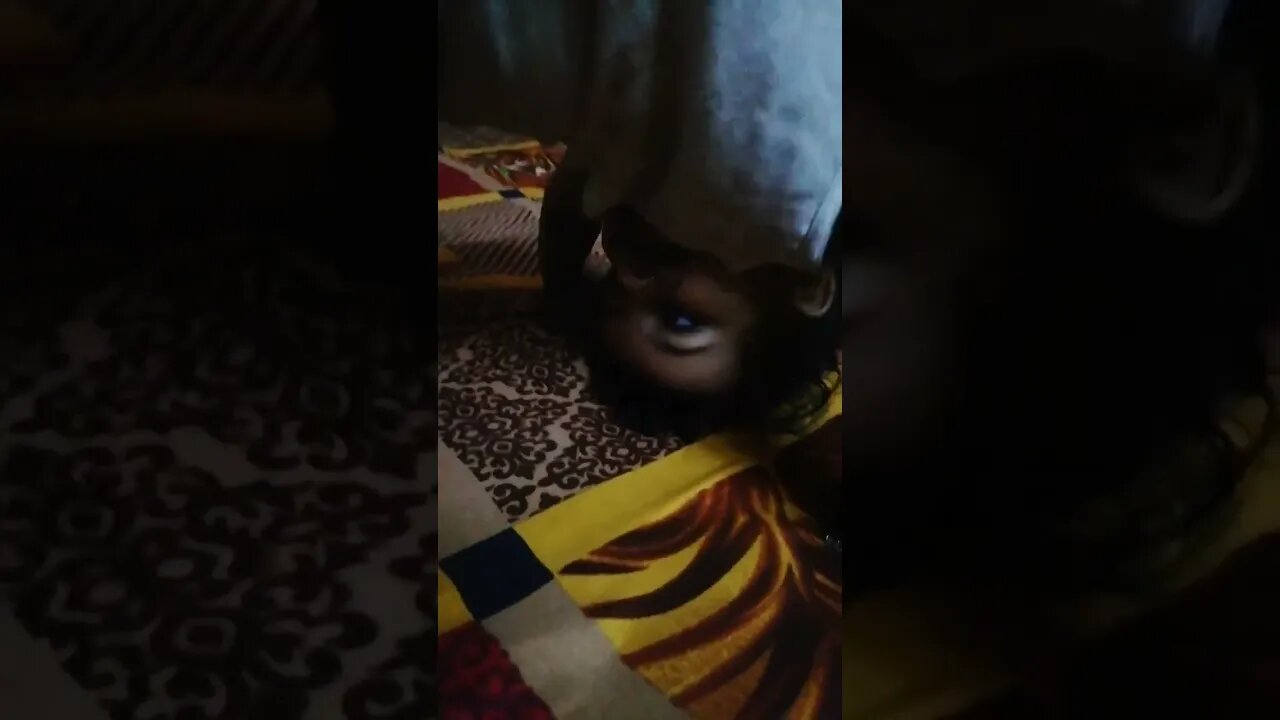 maulishorts |shortvideo