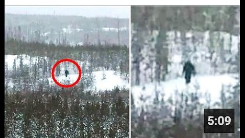 Another Bigfoot Spotted In Yellowstone National Park