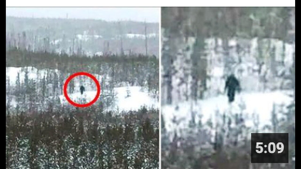 Another Bigfoot Spotted In Yellowstone National Park